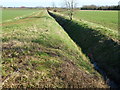 Dike and track off Church Road, West Dereham in PE33 9RG