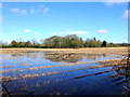 Flooded field West of Four Lane Ends, Mawdesley in L40 3TR