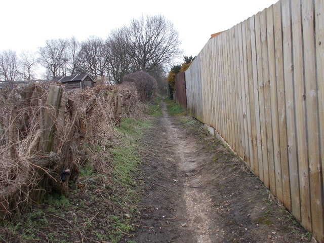 Footpath - Forest Avenue in HG2 7HF