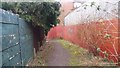 Path Linking Harton Way with Dawberry Road in B14 6NB