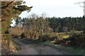 Woodland Track in AB31 5HN