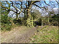 Stile and footbridge on path to Benty Heath Lane in CH64 1TN