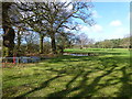 Ponds on Bromborough Golf Course in CH63 0PT