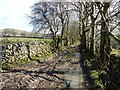 Footpath above Bullhay Dale in Chelmorton