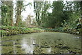 Looking across the pond next to the nursery beds in CM14 5LH