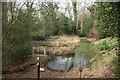 View over South Pond from a hide in Warley Place in CM13 3JE