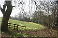 View over the Daffodil Bank from the path encircling the bank in Warley Place in CM13 3JE