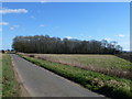 Gigbbet Lane looking towards Boughton in Norfolk in PE33 9FL