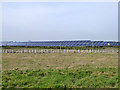 Solar farm north of Millbank Lane in TN29 9SY