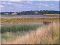 River Colne from Fingringhoe LNR in CO7 8BQ