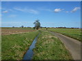 Wretton Road running north to Boughton in Norfolk in PE33 9BF