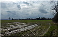 Waterlogged farmland in LE2 5WF