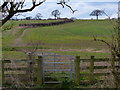 Kissing gate and path near Seven Oaks Farm in LE2 5WW