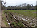 Waterlogged farmland near Seven Oaks Farm in LE2 5WW