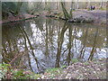 Lake in Chelwood Vachery Forest Garden in TN22 3PJ