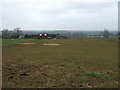 Grazing, Burrow Hill Farm in CV7 8BW