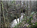 The river Clwyd near Pwllglas in LL15 2PA