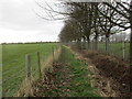 Footpath to the river bank in DN15 8TN