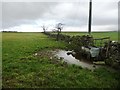 Water trough along a field boundary, east of Glebelands in CA16 6DT