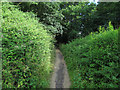 Path by the railway, North Walsham in NR28 0HU