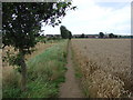 Public footpath from footbridge over the River Went to Thorpe Audlin. in WF8 3HB