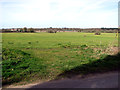 Fields west of Leys Lane in NR17 1NT