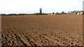 Field south of Hargham Road in NR17 1PA