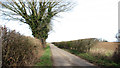 Approaching Hargham Road from Stacksford in NR17 1PA