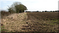 Field north of Stacksford in NR17 1PA