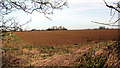 Cultivated field north of Stacksford in NR17 1PA