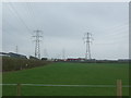 Grazing and power lines, Bedworth in CV12 9EB