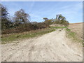 Looking north from bridleway along footpath in BN1 8ZB