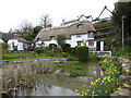 Thatched cottage by a pool, The City, Bishopstone in SN6 8PN