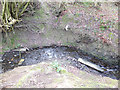 Stream at Drummer's Fields, Bryn in WN4 0LB