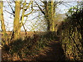 Footpath to Long Plantation in DN3 2LS