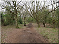 Path around Beeston Regis Common in NR26 8TP