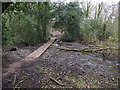 Wet area on Beeston Regis Common in NR26 8TP