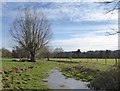 Farmland at Ankerwycke in March in TW19 5DG
