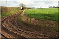 Track near Lammacott Brake in EX17 5LE