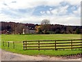 Fenced field at Throstle Nest Farm in DE6 2BP