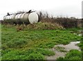 Farm tank above Marsh in EX14 9AN