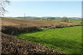 Farmland by the A3066 in DT6 3SG