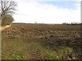 Ploughed arable field, Linton in Ellington and Linton