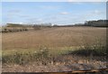 View from a Peterborough-London train - Fields near Boys Wood in Little Barford