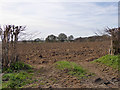 Ploughed field south of Bower Road in TN25 6SN
