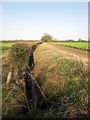 Field edge boundary drainage ditch and hedge in YO42 4LH