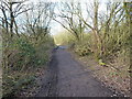 Trackway around Forge Mill lake in B43 5AG