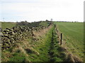 Bridleway towards Cook House in YO22 4QH
