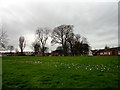 Open area in a housing estate at Grindon in SR4 9BJ