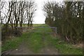 Field Track off Carlton Lane, near North Carlton in Broxholme